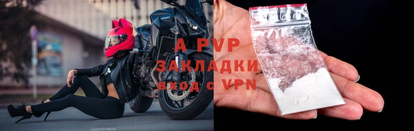 apvp Михайлов
