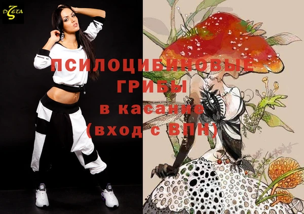 apvp Михайлов