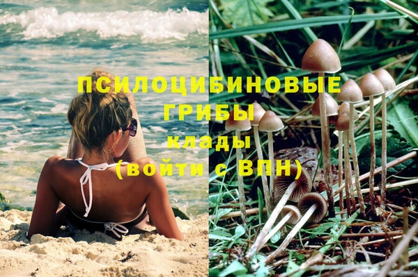 дмт Михайловка